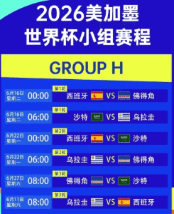 网球澳网决赛